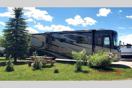 Used 2009 Safari Cheetah 42 PAQ